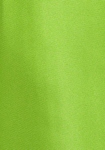 Zijden clip stropdas groen