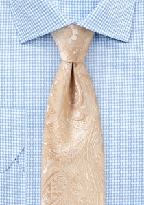 Zakelijke stropdas gecultiveerd paisley patroon
