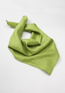 Zijden dames sjaal groen