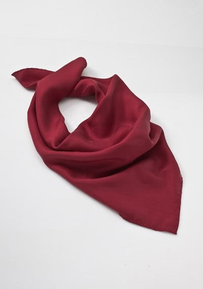 vorst Notebook 945 Zijden dames sjaal rood | Stropdas-Mode
