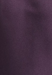 stropdas unikleur violet