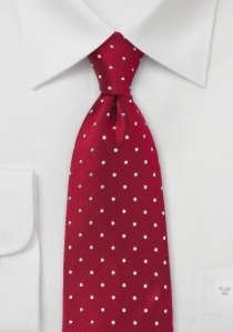 Rode stropdas met witte stippen