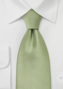 Licht groene stropdas
