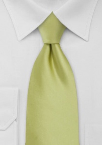 stropdas in licht groen