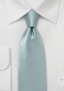 Zakelijke Italiaanse zijden stropdas monochroom