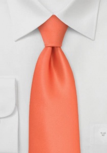 stropdas in oranje