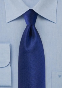 Zakelijke stropdas botten koninklijk blauw