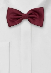 Elegante bordeauxrode vlinderdas