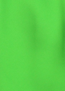 Smalle Zijde stropdas groen