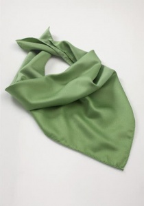Grünes Halstuch Polyester