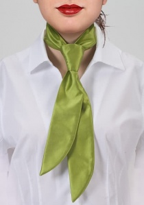 Dienstverlenings-stropdas lichtgroen effen