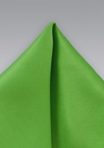 Microfiber pochet groen