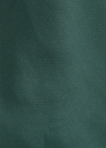 stropdas in donker groen