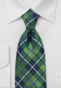 Geruite stropdas groenachtig