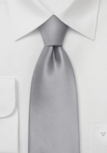 Zakelijke stropdas satijn zilver