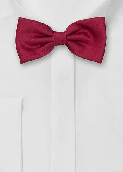 Vlinderdas aus dem gleichen Stoff und Farbe