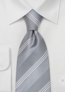 Feestelijke zilveren stropdas
