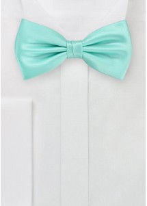 Microfiber vlinderstrik voor mannen pepermuntkleur