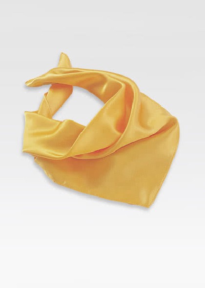 Halsdoek aus dem gleichen Stoff und Farbe