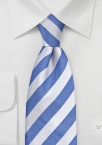 Modern blauw wit gestreepte stropdas