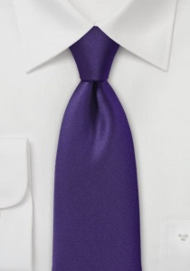 Business Tie Plain Synthetic Fibre Purple
