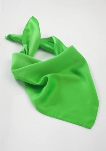 Dames sjaal groen microfiber
