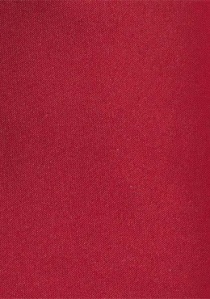 Modieuze mannen stropdas rood microfiber
