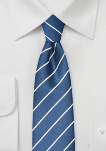 Elegante smalle koningsblauwe stropdas