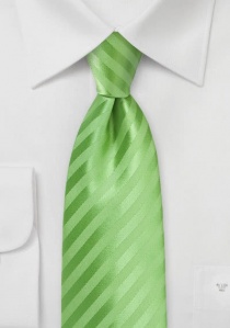 Afwisselend groen gestreepte stropdas