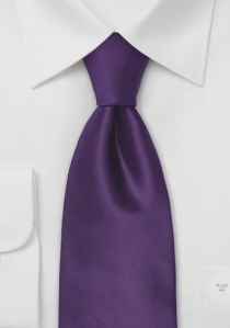 Clip zijden stropdas paars