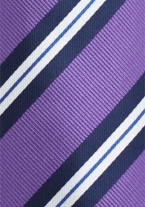 Zakelijke stropdas gestreept paars en donkerblauw