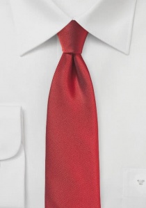 Zakelijke stropdas met structuur rood