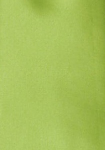 Moulins Kinder-Krawatte in frischem Grün