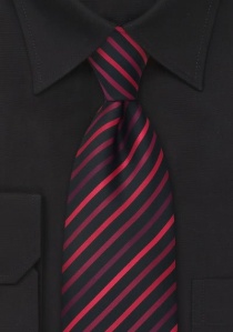 Donkere stropdas rode strepen